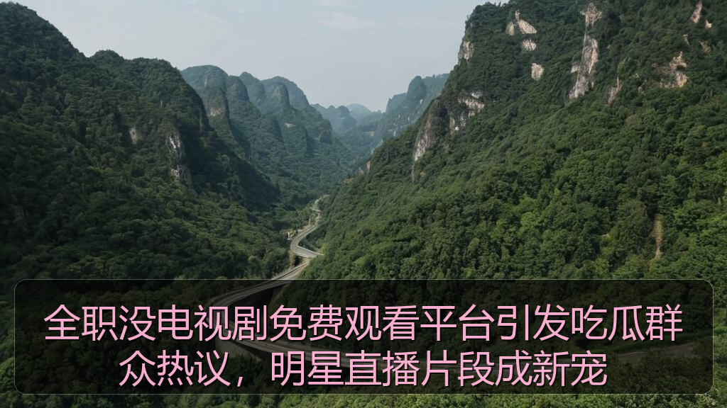 全职没电视剧免费观看平台引发吃瓜群众热议,明星直播片段成新宠