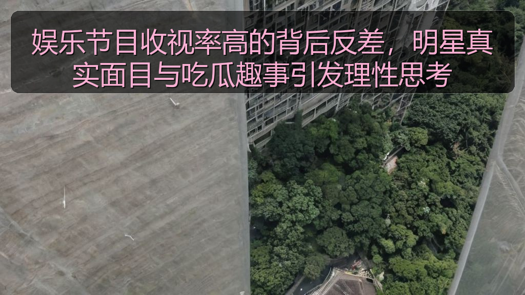 娱乐节目收视率高的背后反差,明星真实面目与吃瓜趣事引发理性思考