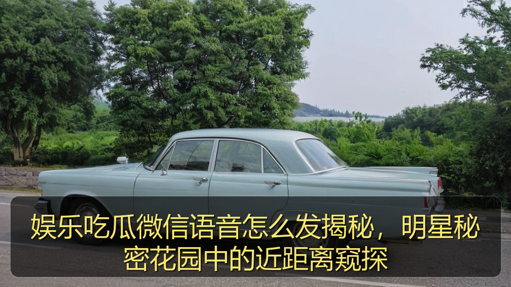 娱乐吃瓜微信语音怎么发揭秘，明星秘密花园中的近距离窥探